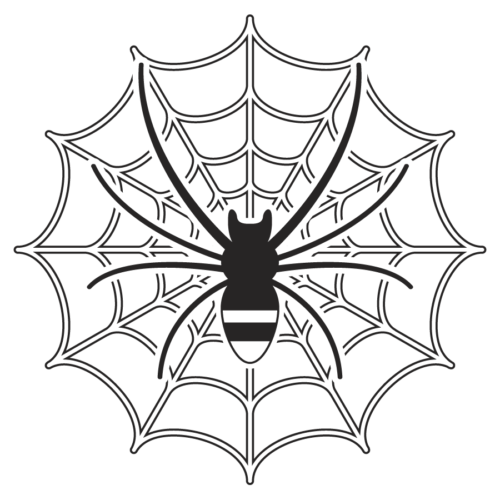 クモ　蜘蛛の巣　イラスト　白黒